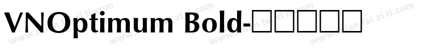 VNOptimum Bold字体转换